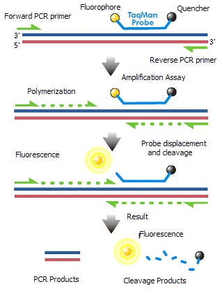 17.2.1: qPCR - Biology LibreTexts