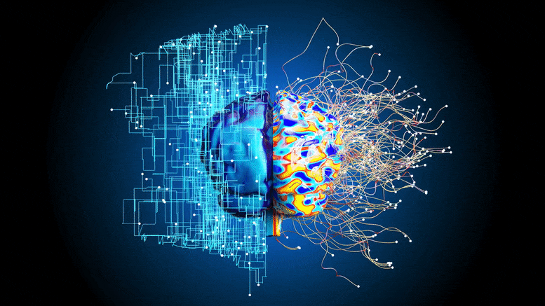 Parkinson's - brain