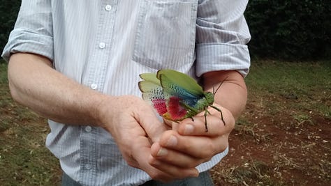 Images from the first few blogs
