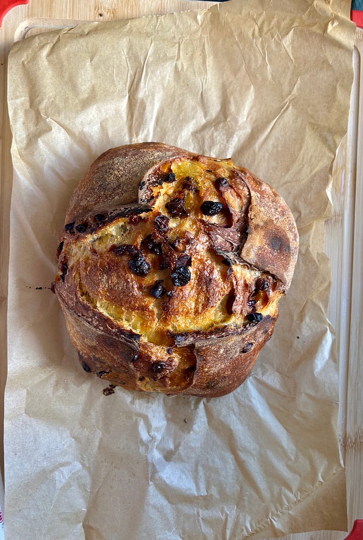 Collage of sourdough loaves, featuring an overhead shot and crumb shot of a cinnamon raisin loaf and a cranberry, white chocolate, and orange sourdough loaf.