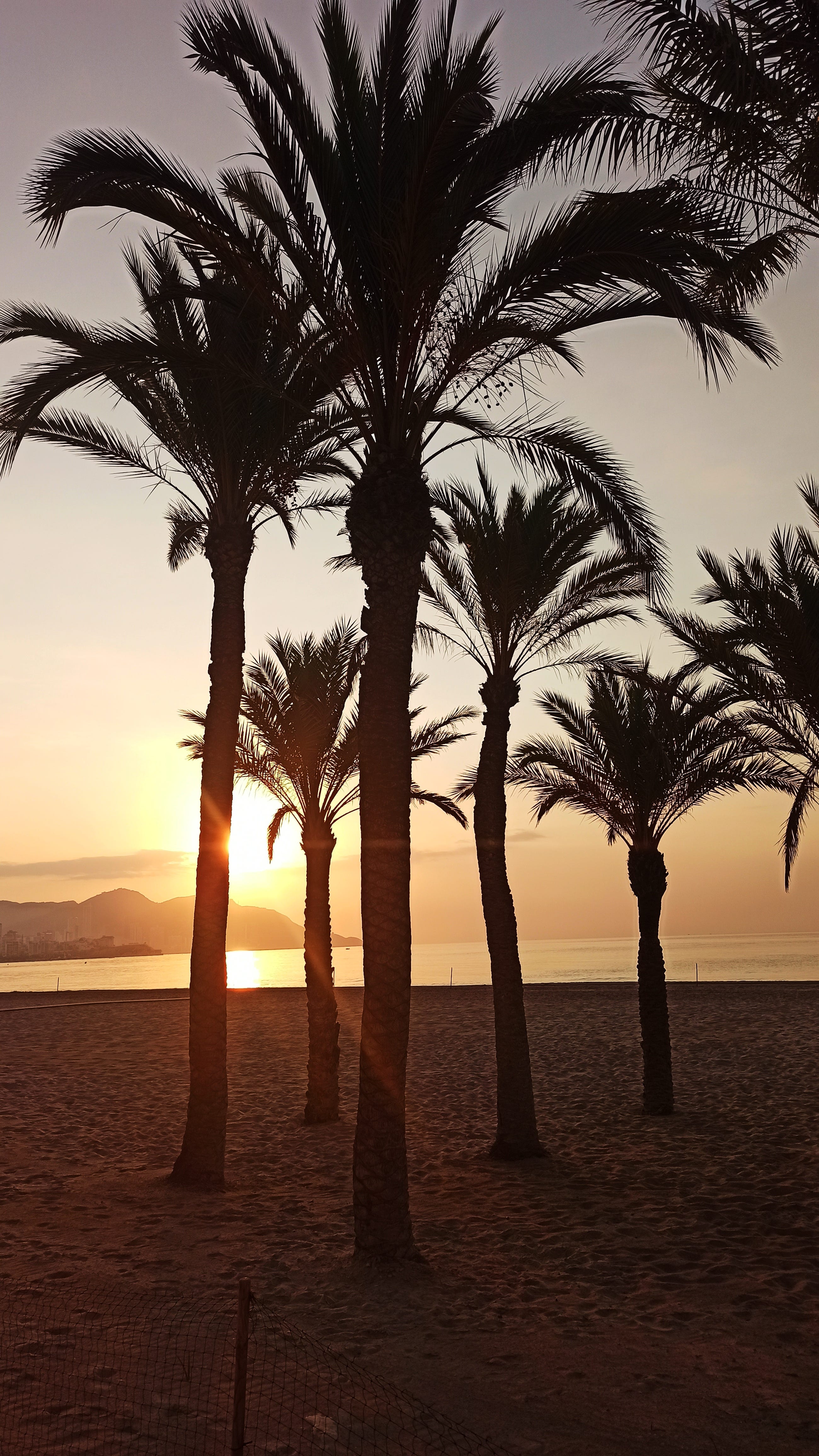 Jager’s Investor Newsletter