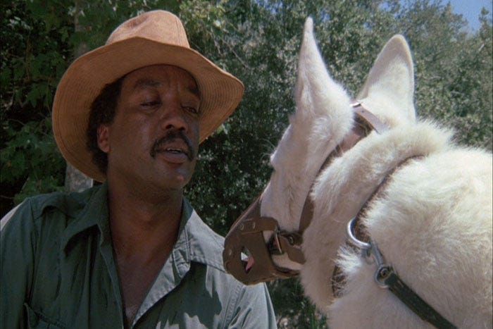 White Dog, 1982 – For All The World To See – UMBC
