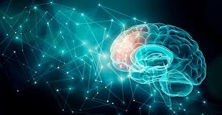 What is Brain Science? - Regional ...
