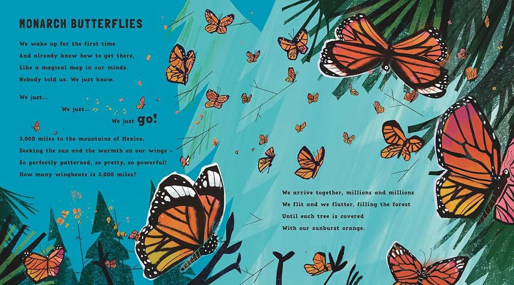 A page from 'A First Book of Bugs' with pictures of orange Monarch butterflies on a blue background, and a poem called 'Monarch Butterflies'.