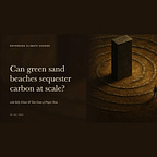 Reversing Climate Change