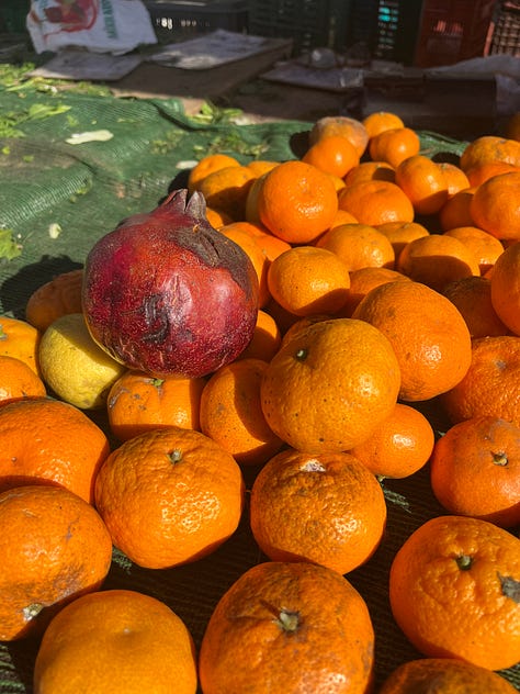 On Saturday, there’s Open Bazaar where you can pick up fresh fruits, cheese, olives, and herbs, plus nice souvlaki stands, or simply for a stroll to experience the chaotic, uplifting market energy.