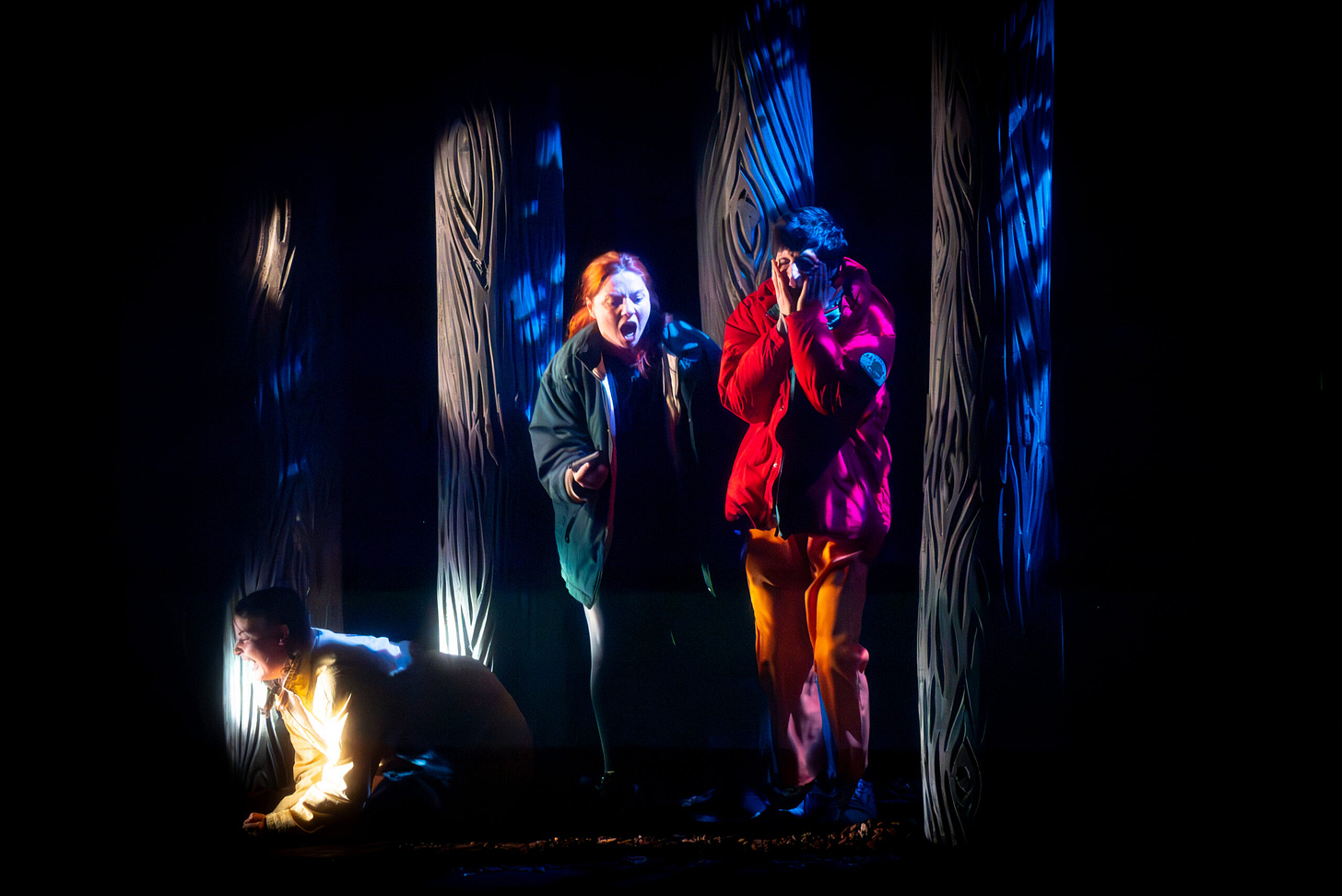 Denali - Théâtre Marigny