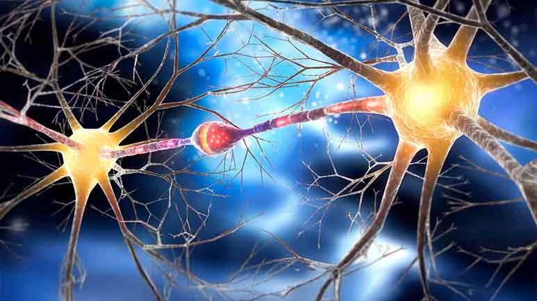 dietary geranylgeraniol diabetic neuropathy