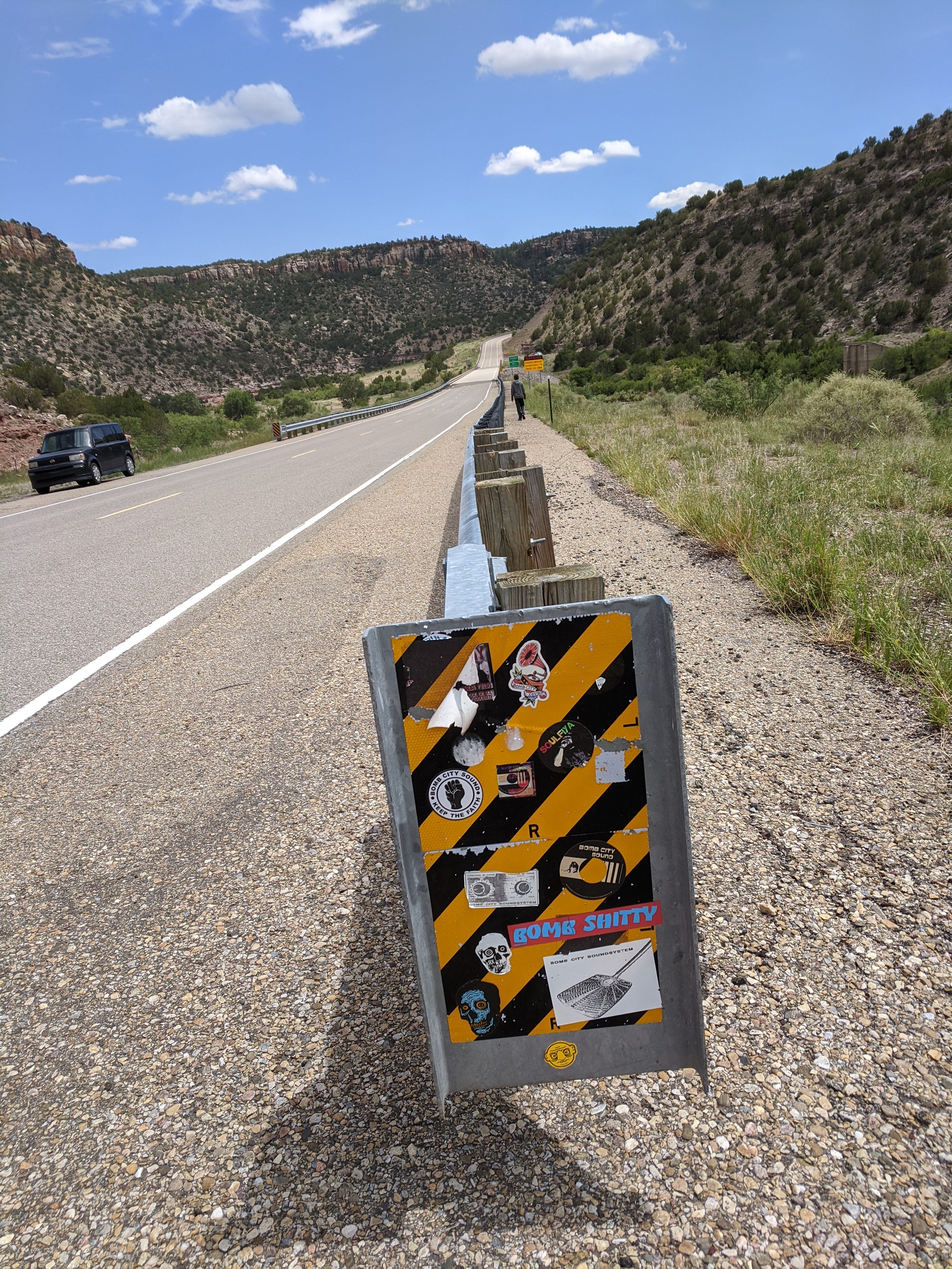 Entering Harding County, NM; punk is not dead!