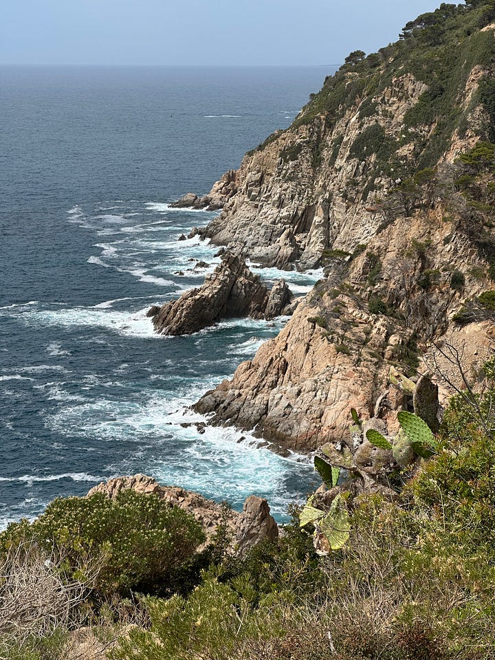 Es Codolar beach