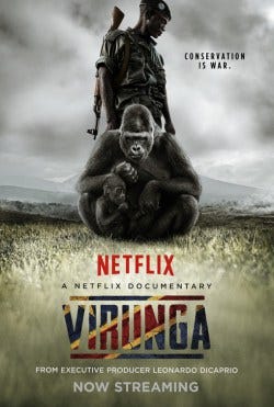 Netflix documentary Virunga Netflix documentary Virunga
