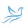 Jewish Social Work Consortium's Substack