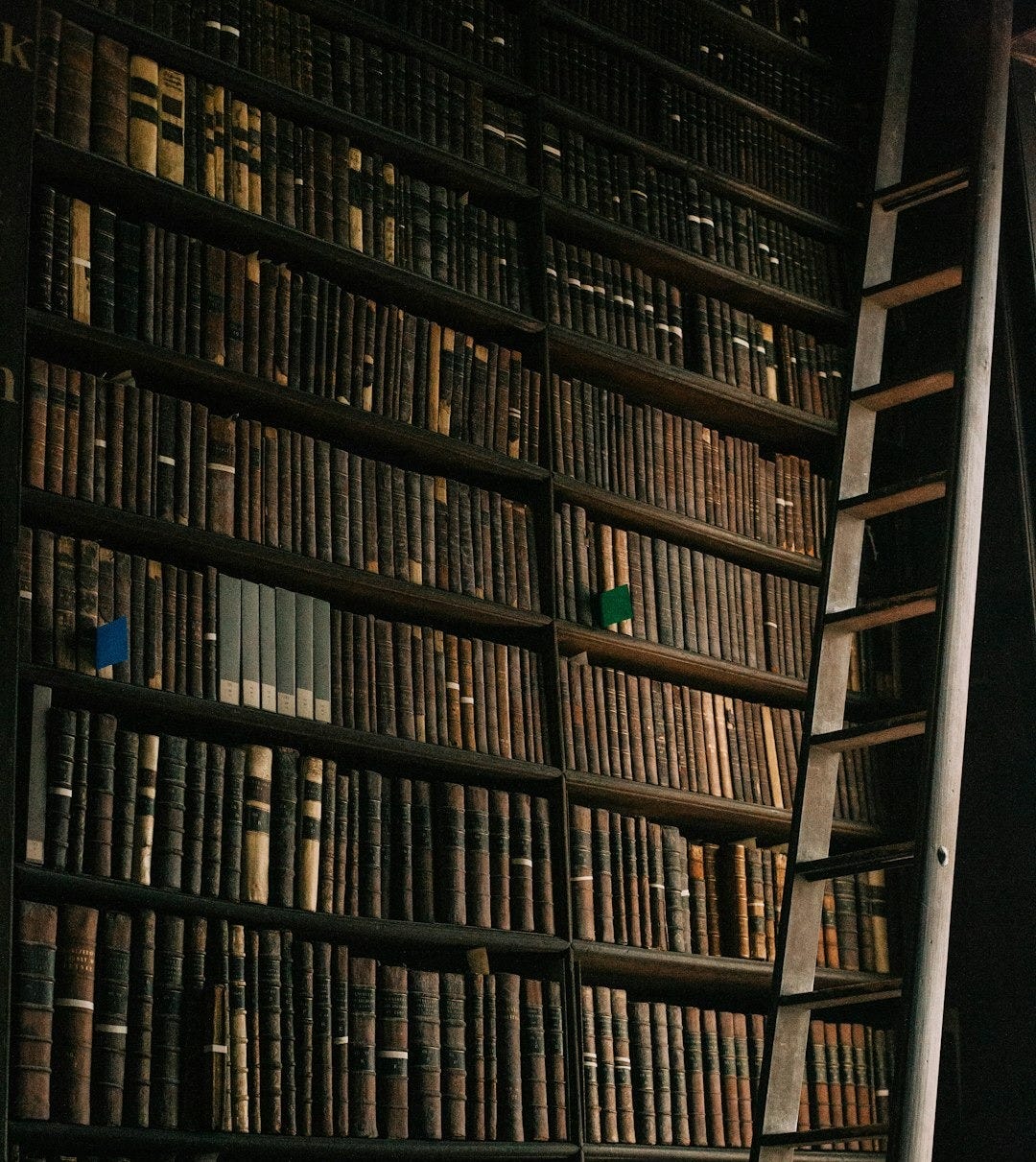 a ladder leaning against a bookshelf filled with books