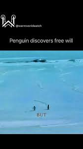 Nihilist Penguin (2007) In Encounters at the End of the World, Werner  Herzog—known for his dry wit and philosophical narration—delivers a darkly  humorous moment when he discusses a lone penguin seemingly gripped