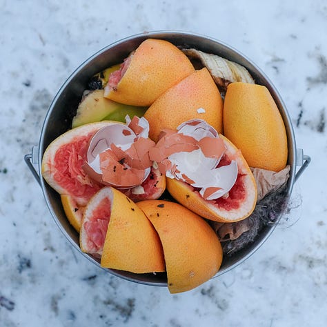 Triptych: Three buckets of compost filled with orange and grapefruit skins
