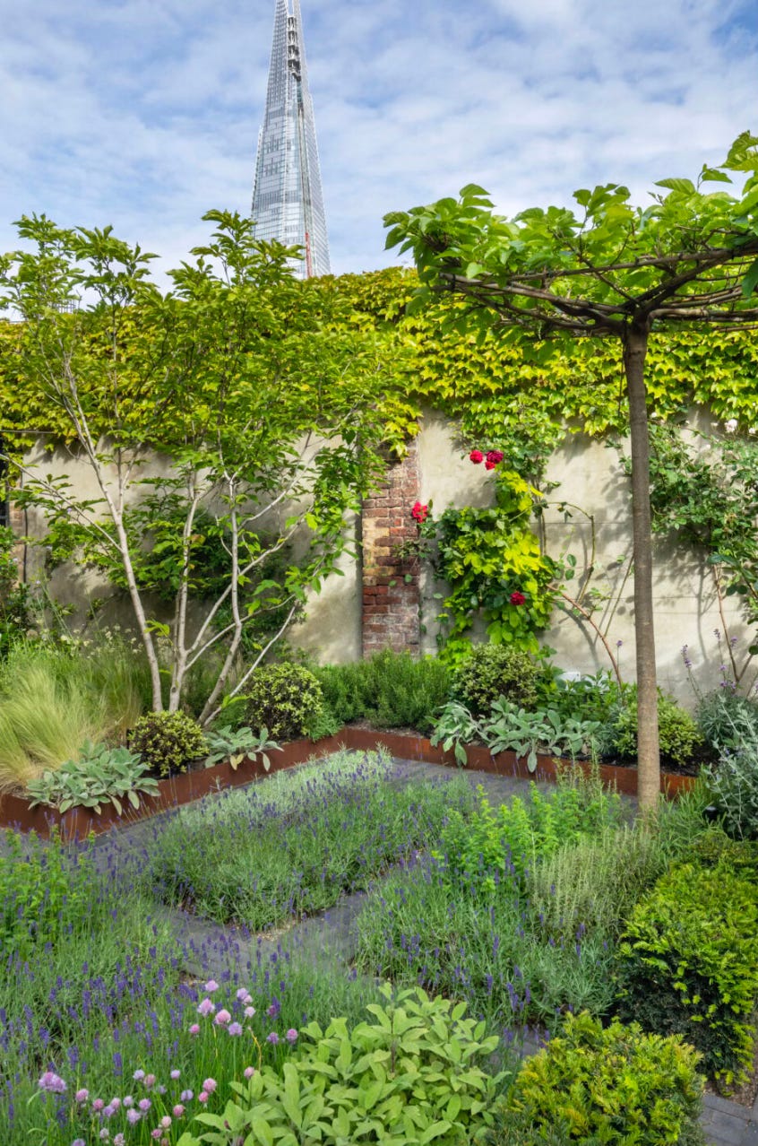 An urban city garden with brick walls and planting beds An urban city garden with brick walls and planting beds