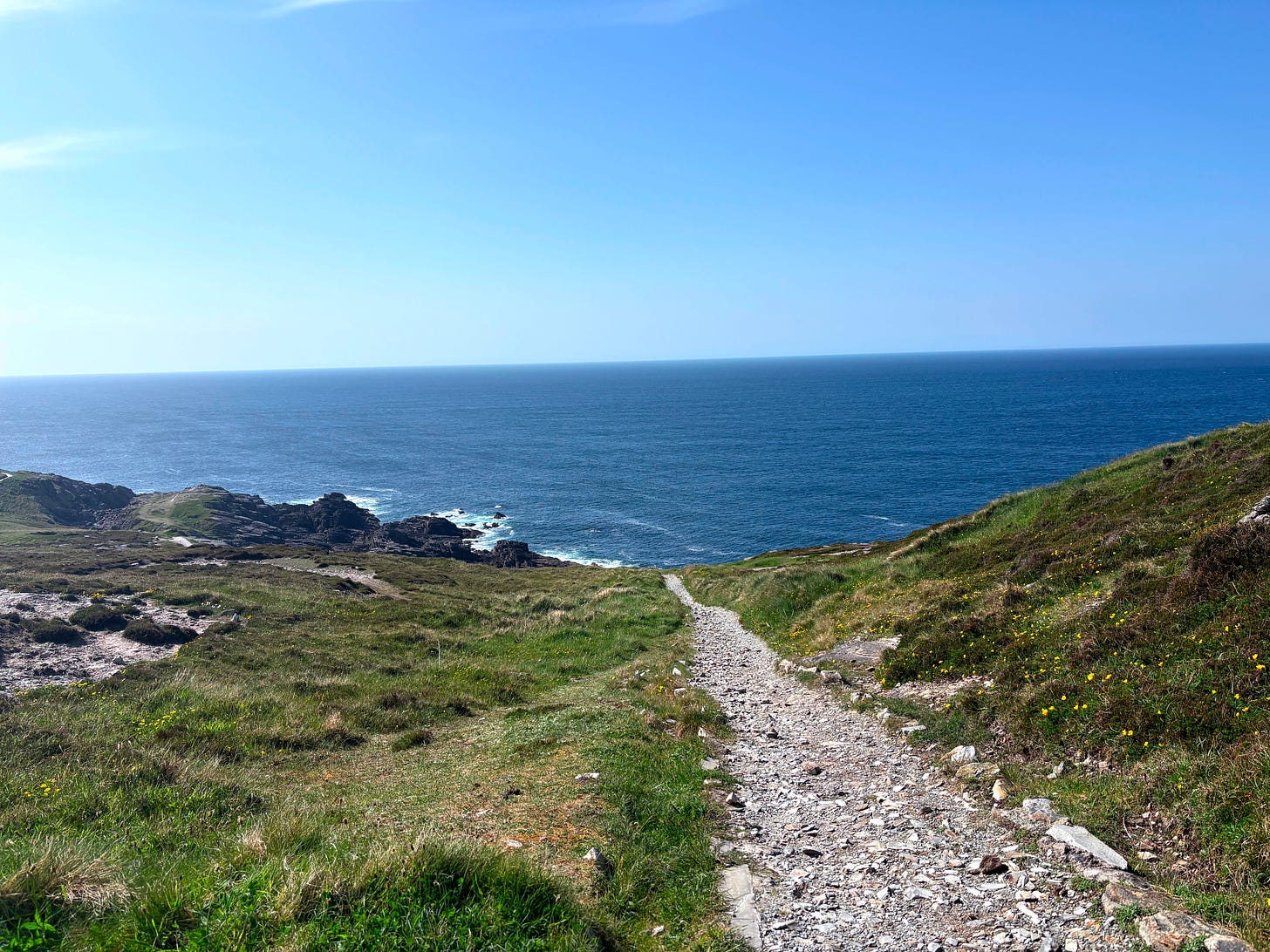 rocky path through grass leading to the sea rocky path through grass leading to the sea