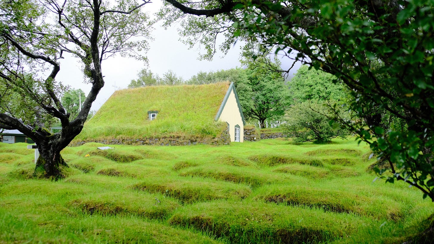 A house with grass on the roof

AI-generated content may be incorrect.