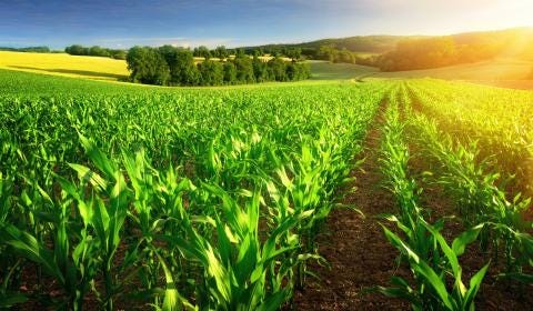 Fostering sustainable farming practices to positively impact people and the  planet | Bureau Veritas