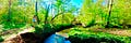 Staying Human in the Hybrid Ecology