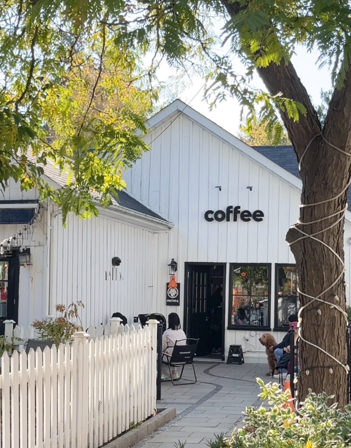 A coffee shop with people and dogs sitting outside.