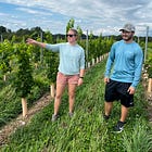 The Vines that Survived the Freeze