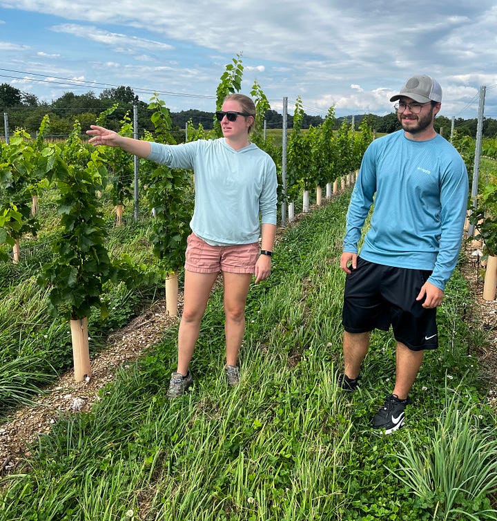 1. A woman and a man standing in a vineyard. 2. A grape vine closeup.