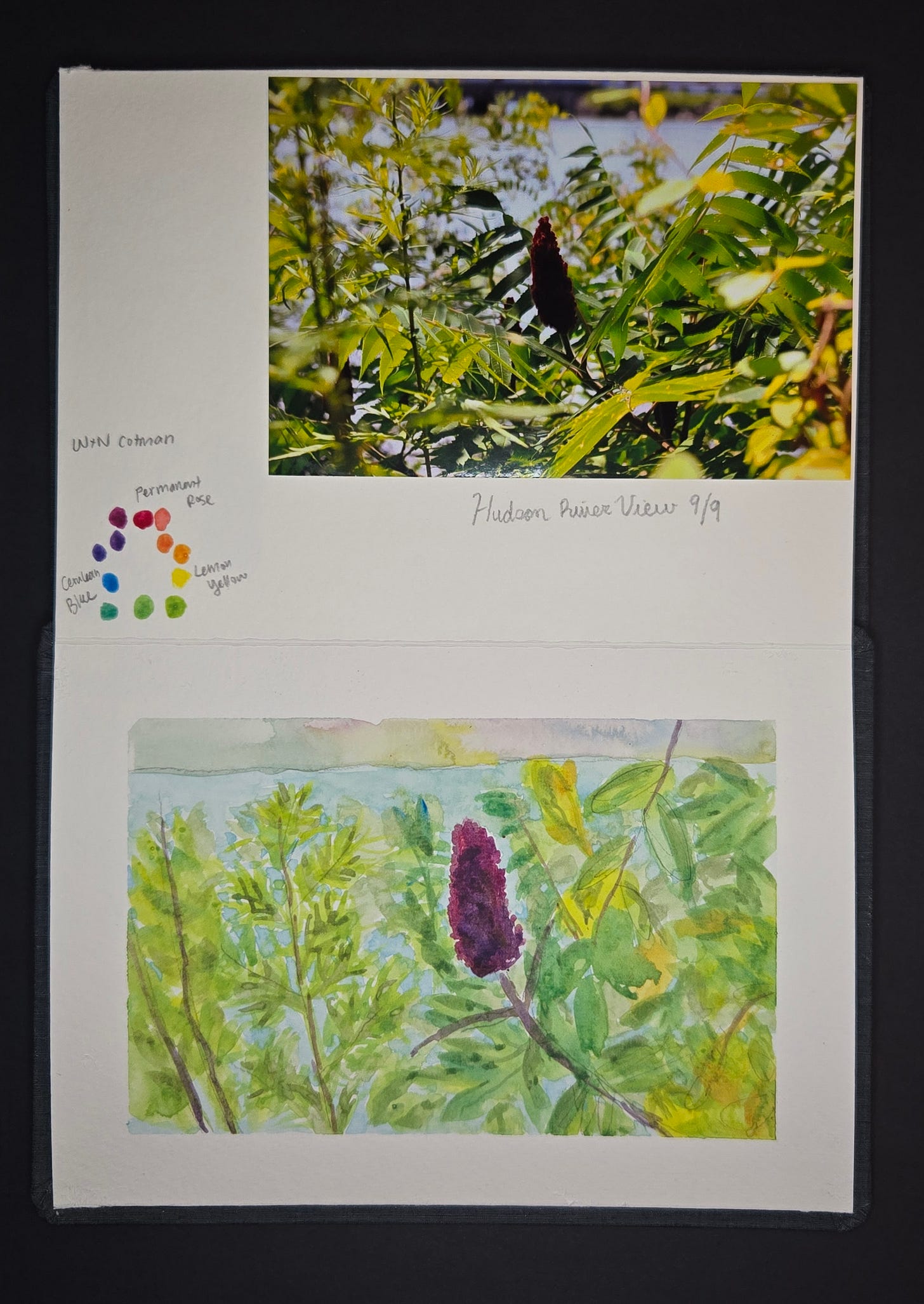 Hudson River watercolor of vibrant green foliage with a single deep red sumac flower, painted using permanent rose, lemon yellow, and cerulean blue.