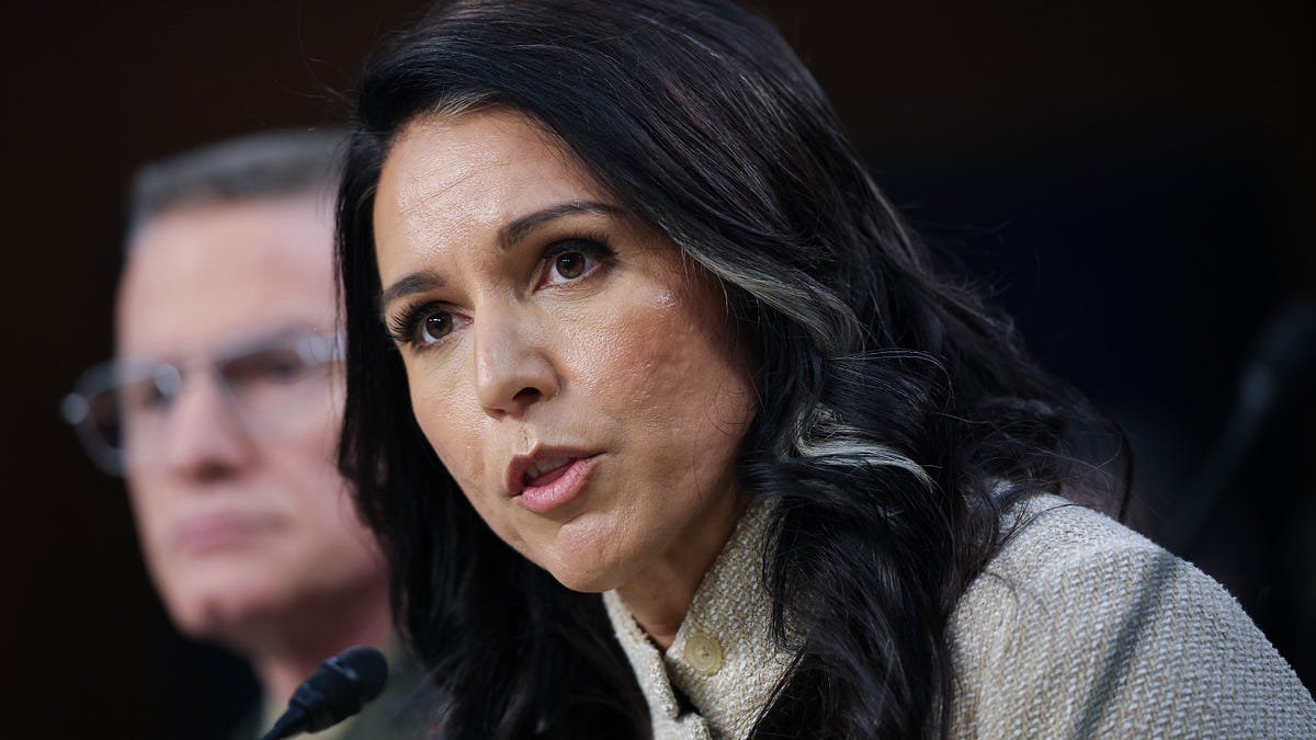 Tulsi Gabbard: Director of National Ignorance