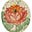 Rose Douglas's avatar