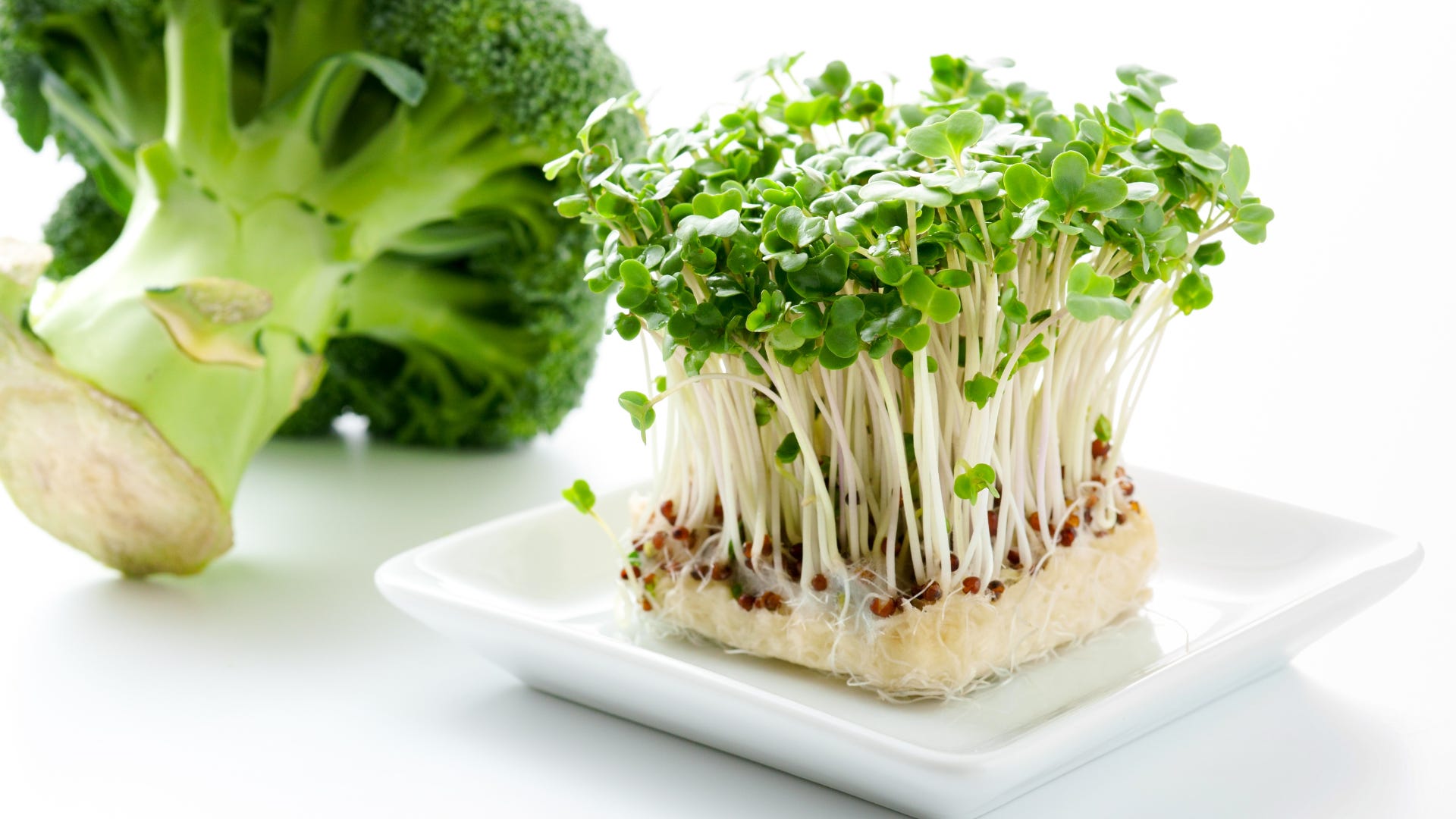 sprout glutathione Brocco-Glutathione, Natures Answer  Natural Healthy Concepts Glutathione 500mg Capsules Liver health