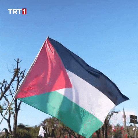 A Palestinian flag waving. A Palestinian flag waving.