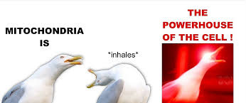 Meme Post | Cell Biology