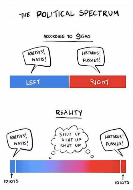 left vs. right.png