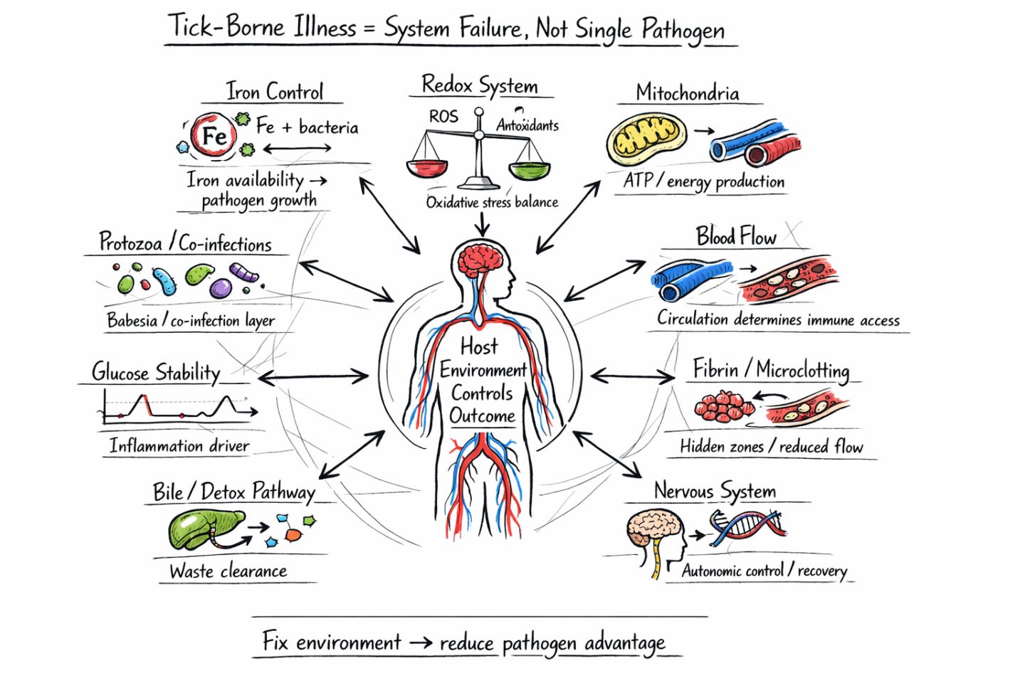 20260407_1840_Medical Systems Diagram_simple_compose_01knnbxyjbexe8x03jmbkwh50z.png