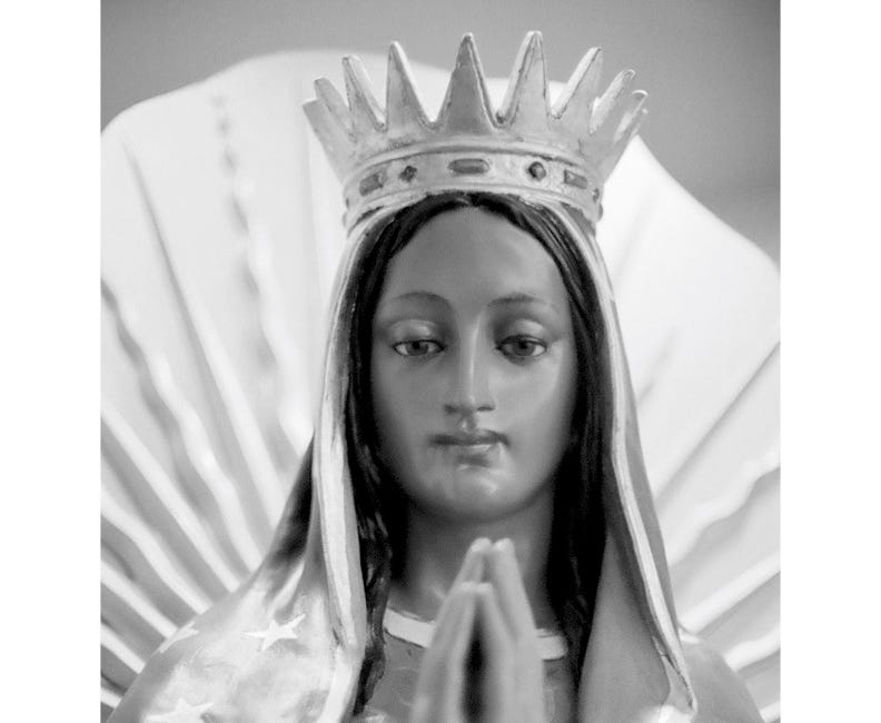 Le Shade Magazine - Photo Issue #2