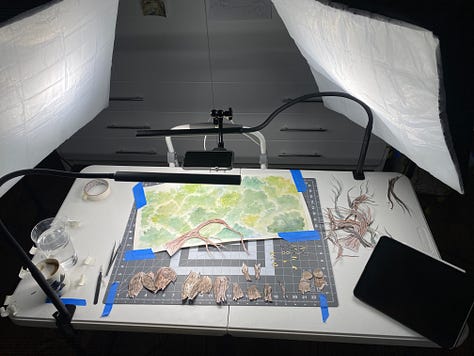 stop motion animation paper bird illustrations and filming set up