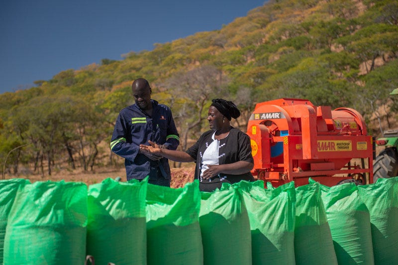 Employees at Amatheon Agri's operations in Zambia.