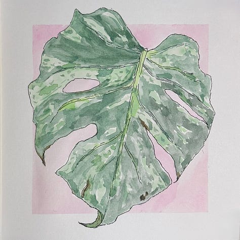 Black pen outline drawings painted with water colour.