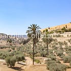 Jerusalem Tracker: News, Publications, and Media about the Holy City (No. 5) 