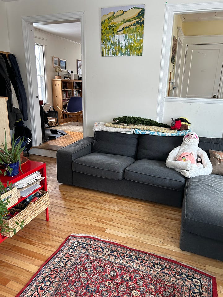 before and after cluttered disorganized messy organized clean living room