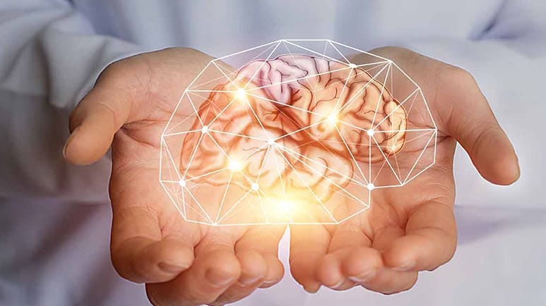 reversing alzheimers forgotten causes treatments reversing alzheimers forgotten causes treatments