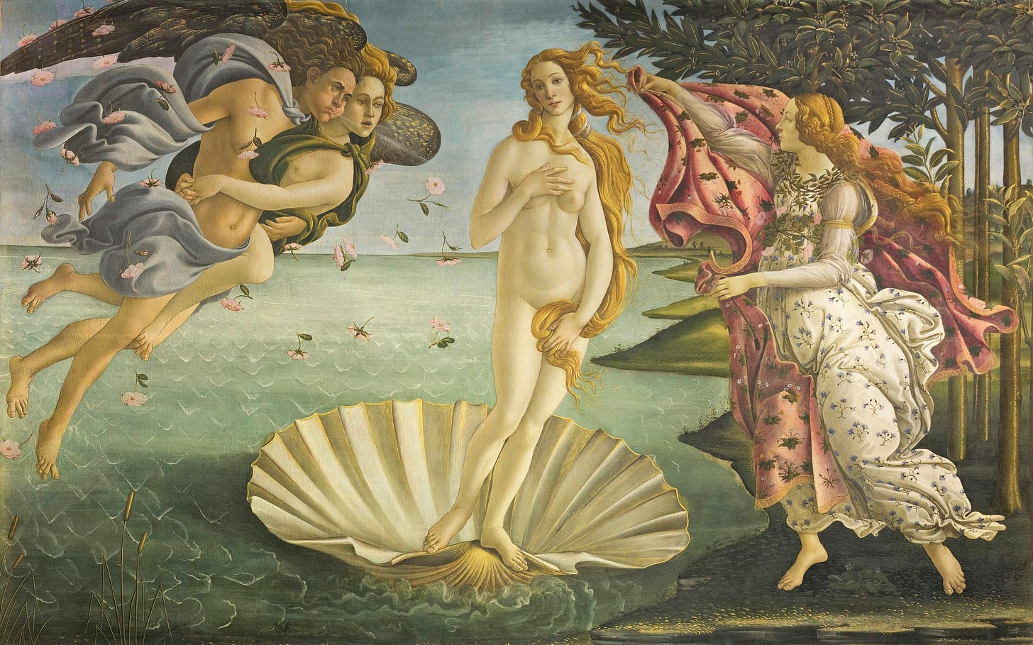 Birth of Venus Birth of Venus