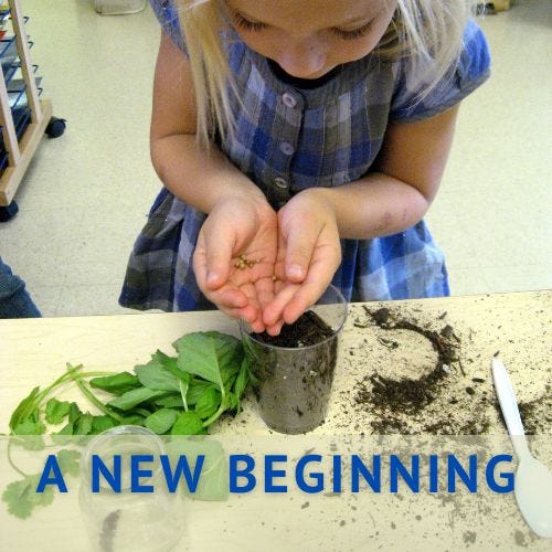 image of a young girl planting seeds in a cup of soil