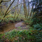 The Land Will Heal — If We Give it a Chance