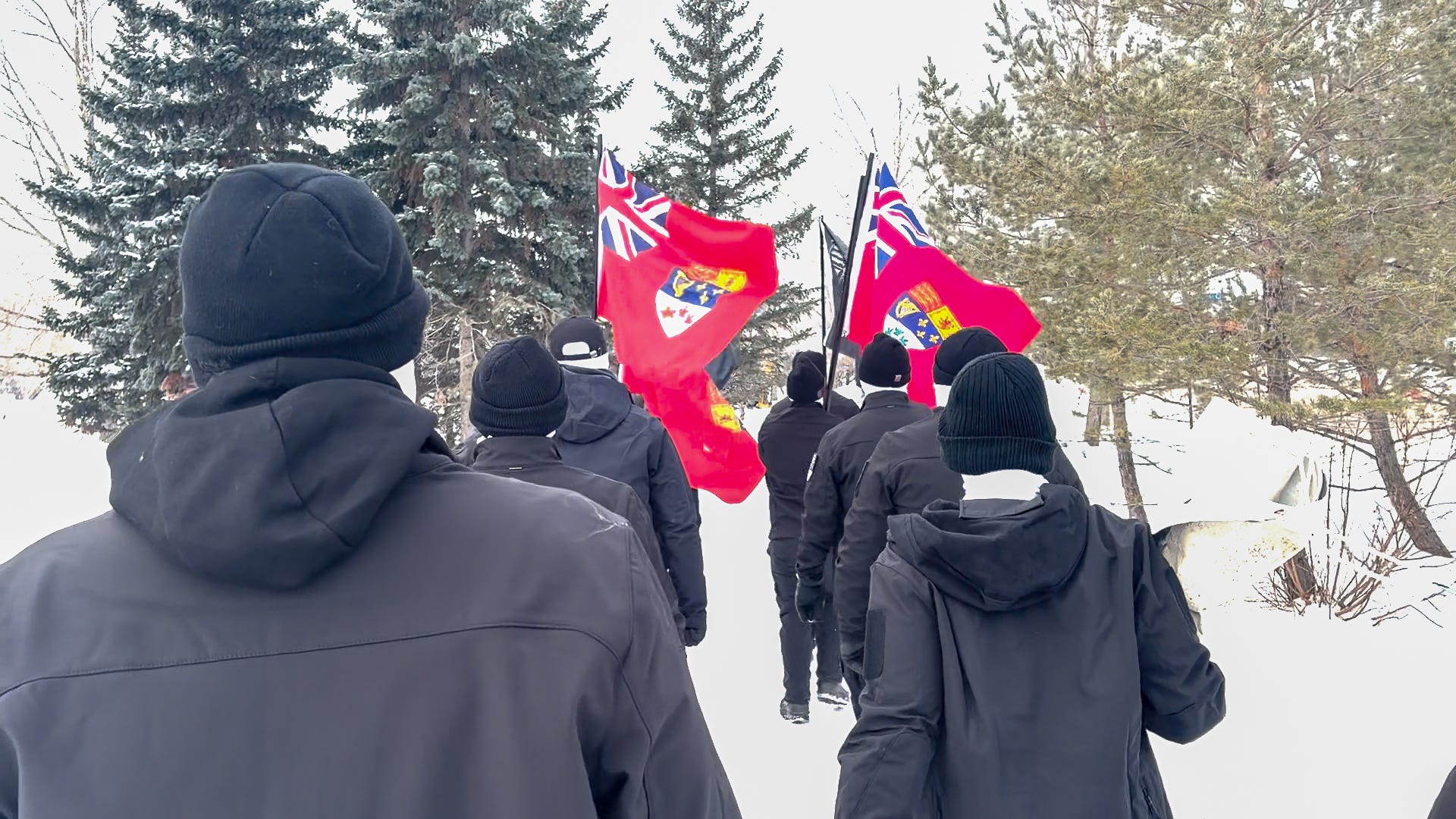 The Purpose of Public Actions