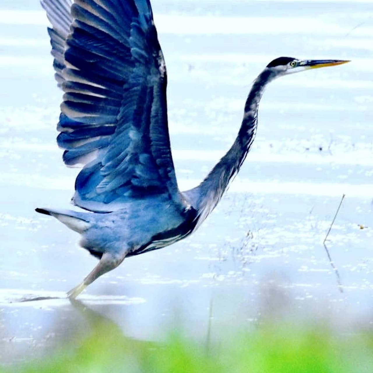 For Graceful Transitions an End-of-Life Doula