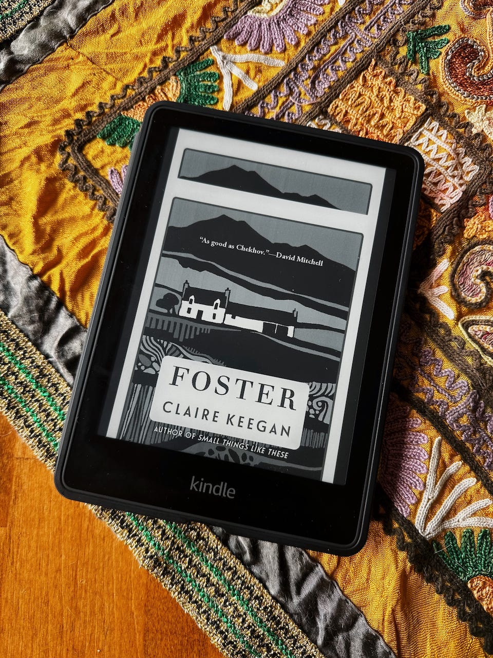 Foster by Claire Keegan - by Peggy Aw - Quaint Metropolis
