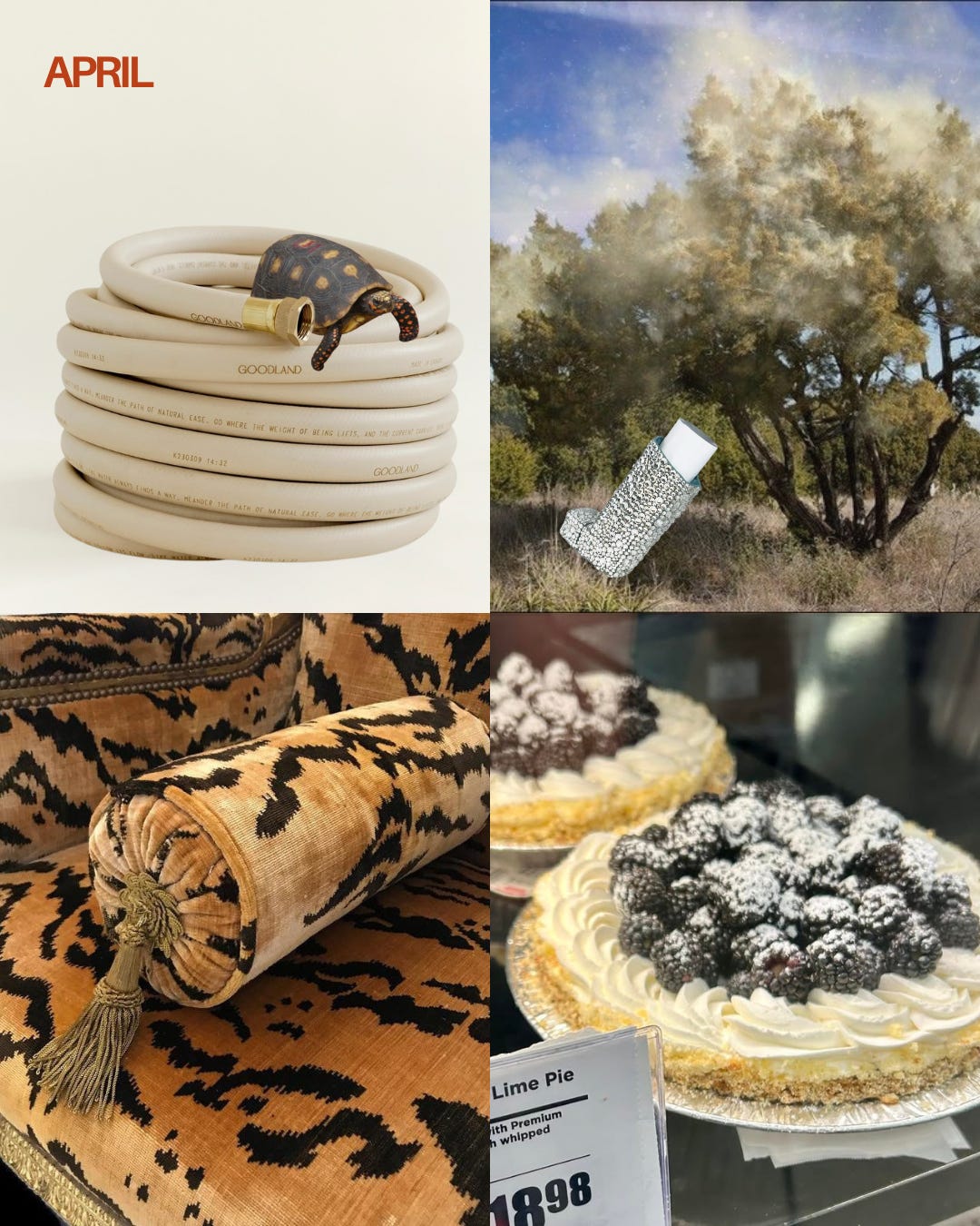 How to pollen-proof your home, the Pinkberry froyo dupe that actually works, stair runners worth buying, and the only garden hose reel you'll ever need. How to pollen-proof your home, the Pinkberry froyo dupe that actually works, stair runners worth buying, and the only garden hose reel you'll ever need.