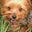 Shelly Hurd's avatar